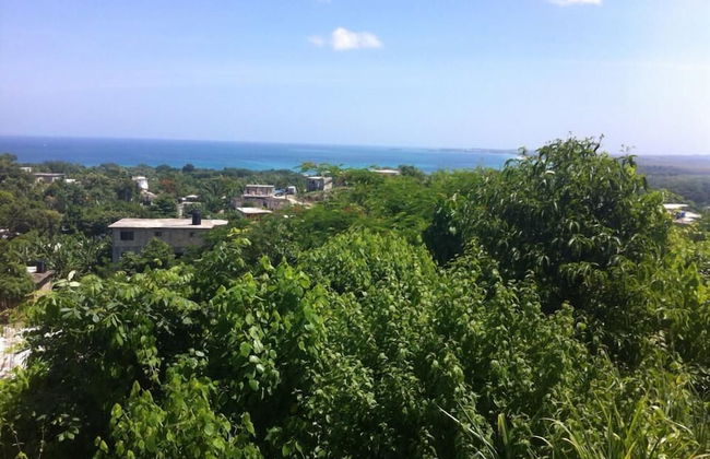 Solet's Paradise Negril - Photo 54