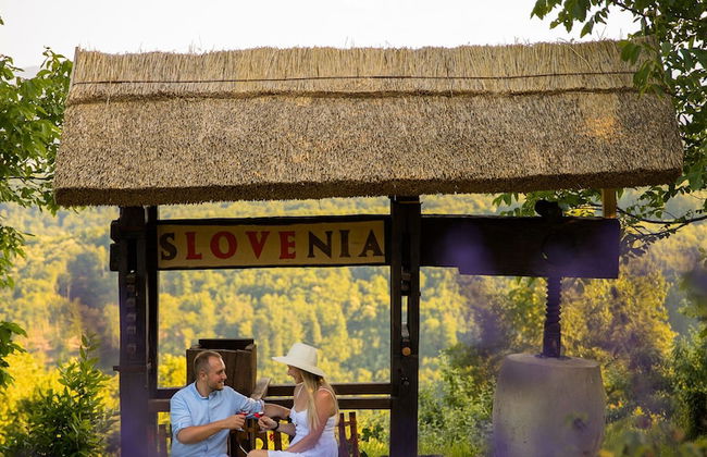 Vineyard cottage Škatlar 2 - Foto 22