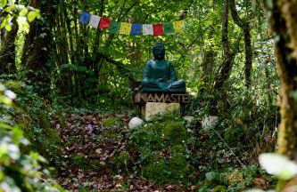 la meyrolette - Foto 16