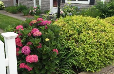 200 Captain Chase Road Dennis Port Cape Cod - - Beach Retreat II - Foto 1