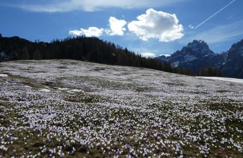 Residence Villa Maria - Foto 59