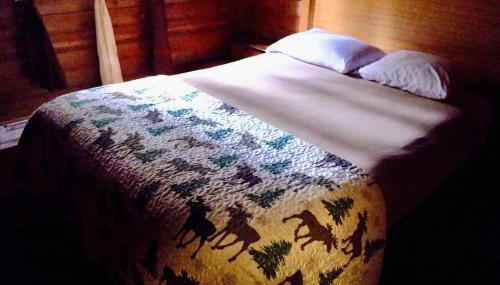 Cedar at Rainier Lodge (0.4 m from Mt.Rainier) - Foto 3