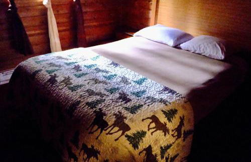 Cedar at Rainier Lodge (0.4 m from Mt.Rainier) - Photo 3