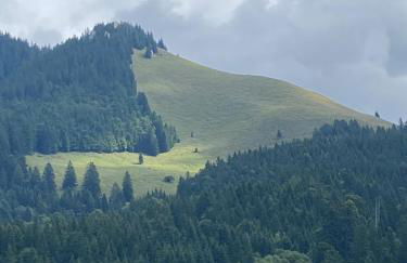 Feel-good apartment in Heufeld near Bad Aibling - Foto 8