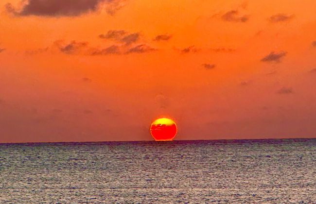 The Grove - Photo 69