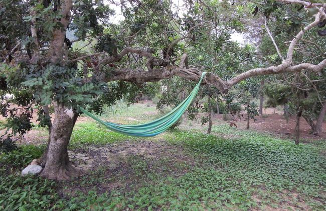 Belvilla by OYO Finca Salvo - Foto 17