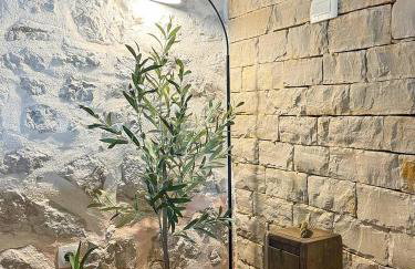 Luxury Villa Navis - Photo 61