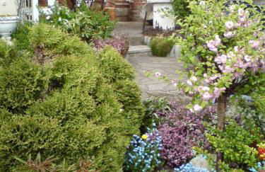 FeWo Direkt Am See - Malchow - Foto 27