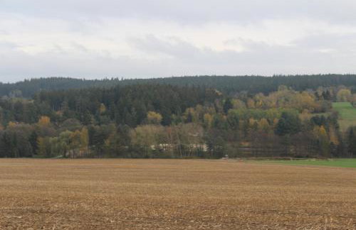 ZumSeehörnchen Haus Schmetterling - Foto 17