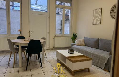 T2 Chic & Lumineux Bar-le-Duc Centre-Ville - Foto 9