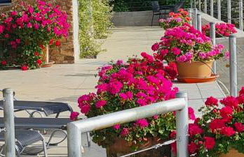 Casa Rural Madre del Agua. Finca El Robledillo - Foto 80