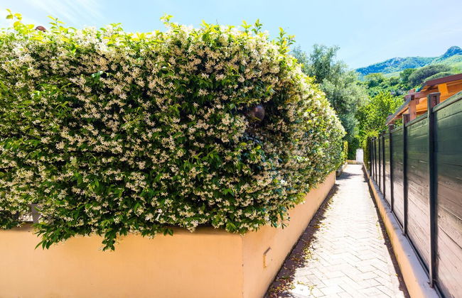 Terrazza Morgera in Napoli - Foto 62
