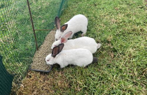 Villa da Silva (Heated Pool and Private Parking) - Foto 24