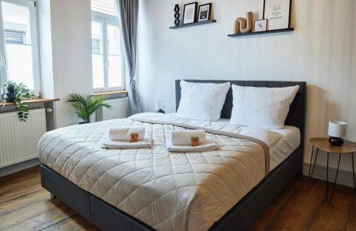 UPPER ROOM Altstadt-Apartment im Herzen der Pfalz - Foto 2