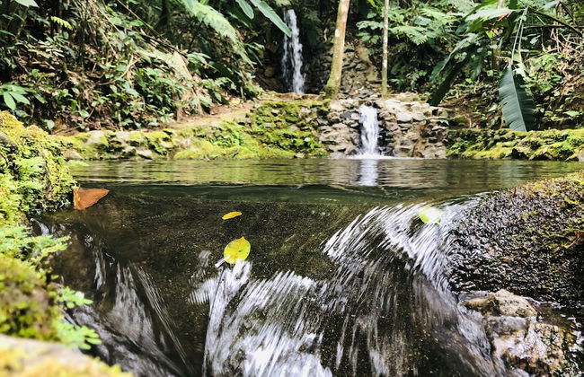 Hotel Bosques do Massaguaçu - Foto 66