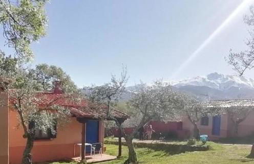 Aldea Vetonia Alojamientos con Encanto Parque de Mascotas-NO SE ACEPTAN EN JULIO Y AGOSTO- Varias zonas infantiles y deportivas "encuentranos y reserva para verano" - Foto 121