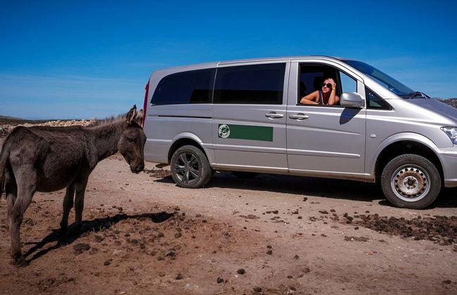 Asinara National Park Day Trip - Photo 11