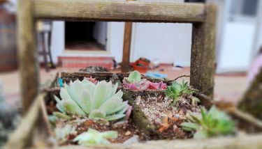 Casa dos Caseiros N2 - Foto 2, Garden