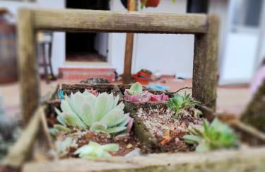 Casa dos Caseiros N2 - Foto 2