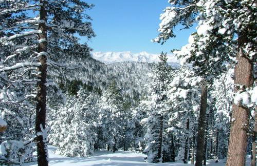 studio MONT LOUIS - Photo 7