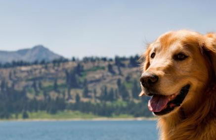 Buckeye Bear's Den-AC-Walking Distance to town - Foto 9