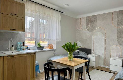 Noclegi, pokoje, kwatery "Nad Bzurą" - Foto 45