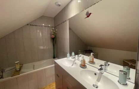 O et Terre, gite ressourcement bains spa cryo sauna et foret - Foto 30