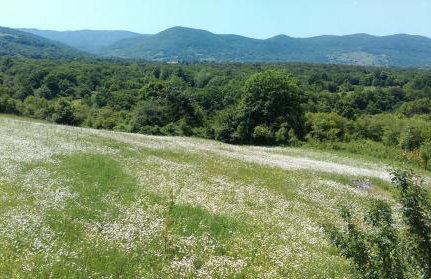 Studio Apartments Ante - Foto 25