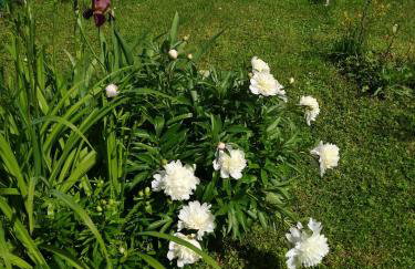 Apartman Sunce - Foto 13