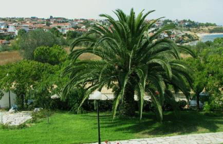 Villa Madeleine Tower View - Foto 18