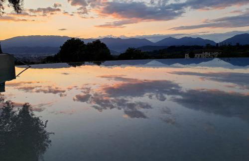 GATTO IN VIGNA - Foto 48