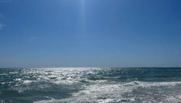 Dolphin's Den - Foto 2