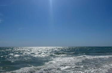 Dolphin's Den - Foto 2