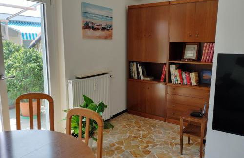 Seagulls, Elegance and Freedom - Foto 47