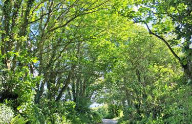 Cosy Beachside Cottage 100m from Challaborough Beach - Foto 34