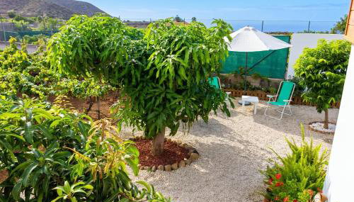 Cosy chalet with panoramic views in Icod de los Vinos - 70m² - Foto 2, Garden