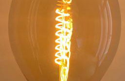 Moderne Wohnung im Grünen in WRN - Foto 1