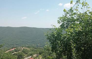 Άγρια Λούλουδα Κατοικία Ευτυχία - Photo 69