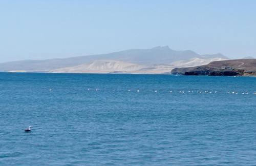 GAVIOTA RELAX - Foto 21