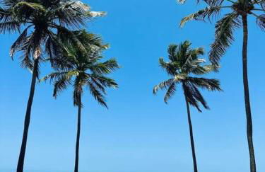 Piscina aquecida, 5 suítes e pé na areia com vista espetacular!! - Photo 50