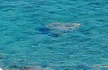 Casa Vacanze Silvia - Photo 11