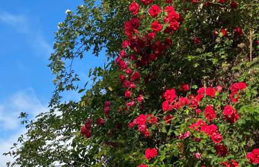 Kornspeicher Himmelpfort - Foto 49