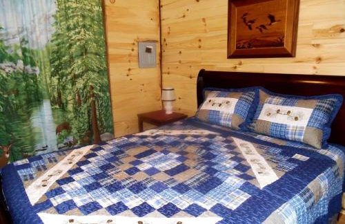 Rustic Woodland Cabin Rental near Oneida Lake, New York - Foto 19