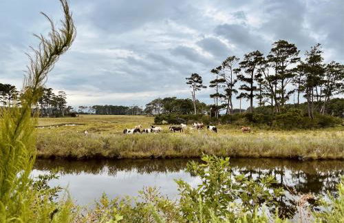 Key West Cottages - Foto 22