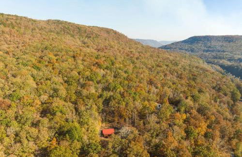 Eagles Nest Cabin with TN River Views - Foto 57