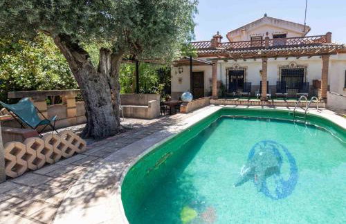 Viña Chica - Foto 24