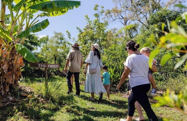 High Valley Dawn Permaculture Farm - Foto 8