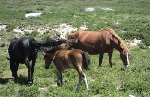 Casa Rural Turística Casa Nicolau 1 - Foto 42