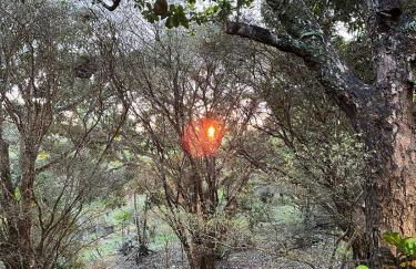 Cabana Tekoha - Photo 27