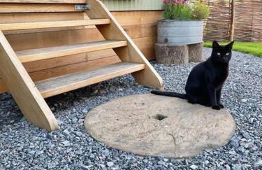 Luxury Shepherd Hut on small South Hams farm, Devon - Foto 6